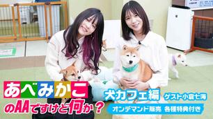 あべみかこ 小倉七海のイベント チケット予約 購入 販売情報 ライヴポケット