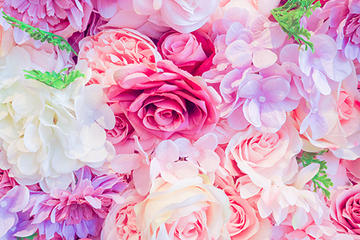 武本悠佑エスコートイベント参加チケット