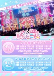 たいようのイベント・チケット予約・購入・販売情報｜ライヴポケット
