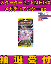 1/24発売 ポケモンカードゲーム コレクションファイルセット