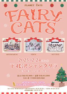 12月24日 『FAIRY CATS』